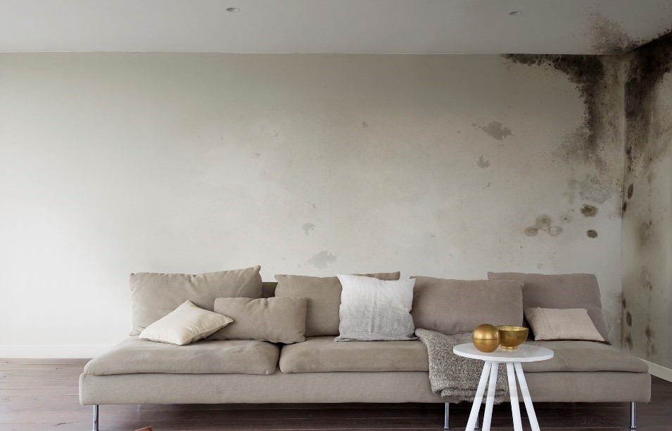 Dulux ngả màu Dulux ngả màu