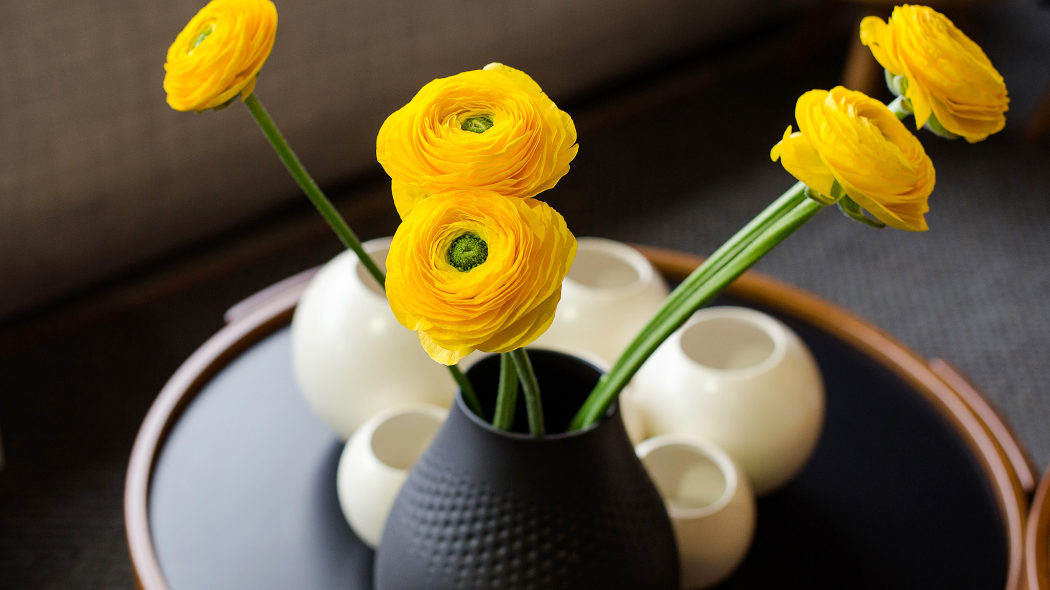 Giữ Cho Hoa Được Tươi Giữ Cho Hoa Được Tươi
