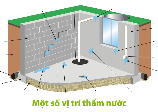 Sơn chống thấm Sơn chống thấm