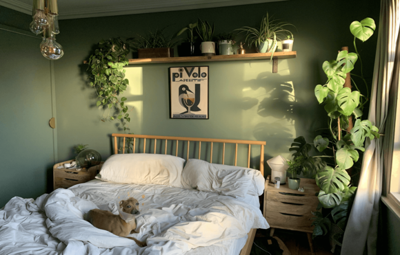 Bật mí cách lựa chọn sơn trang trí phòng ngủ cho các thành viên trong gia đình