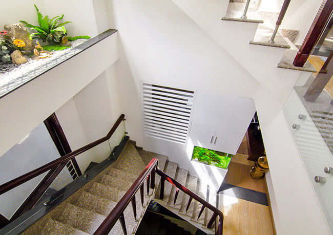 Sửa chữa cải tạo nhà với khu vực cầu thang đón nắng và gió, thêm phần sinh động khi có thêm màu xanh cây lá.