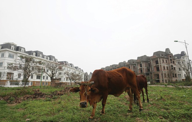 “Hố đen” giá thành bất động sản - 1