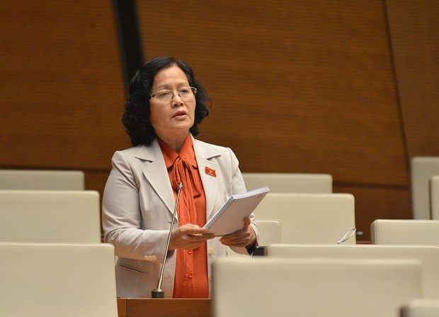 Dai bieu Quoc hoi chia se ve 'goc khuat' thuy dien va nhiet dien hinh anh 2