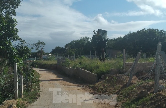 Khánh Hoà: Núi Hàm Rồng tiếp tục bị “cày xới” để xây dựng trái phép - ảnh 6
