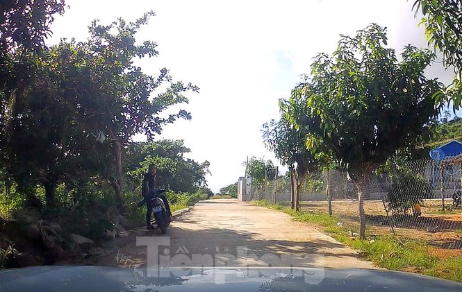Khánh Hoà: Núi Hàm Rồng tiếp tục bị “cày xới” để xây dựng trái phép - ảnh 3