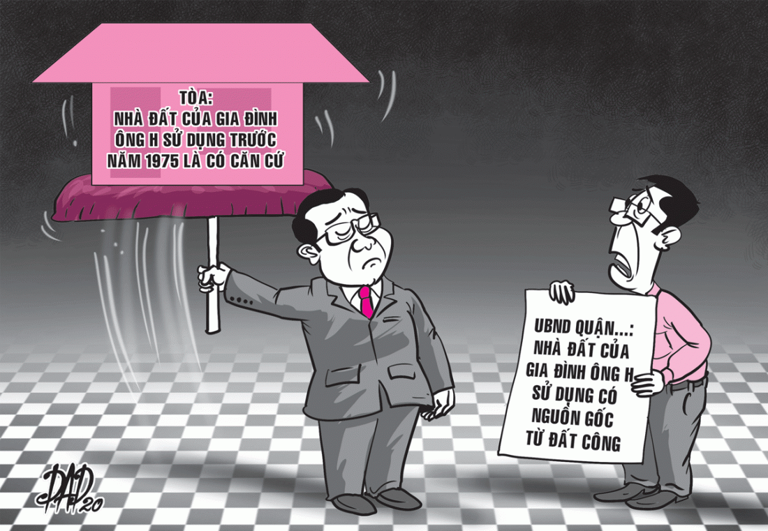 Chủ tịch và UBND quận thua kiện - ảnh 1