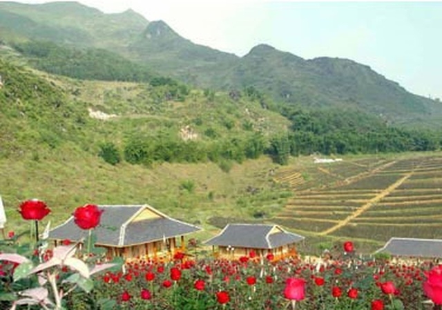 huy so do 3 khu dat vang sa pa rong hang chuc hecta da cap cho doanh nghiep