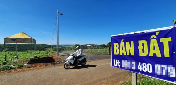 Bát nháo phân lô, bán nền Nam Trung bộ-Tây Nguyên - Ảnh 1. Bát nháo phân lô, bán nền Nam Trung bộ-Tây Nguyên - Ảnh 1.