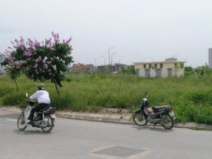 Thủ tướng yêu cầu kiểm tra 