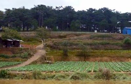 “Đa số tỉnh, thành ủng hộ sở hữu toàn dân về đất đai”