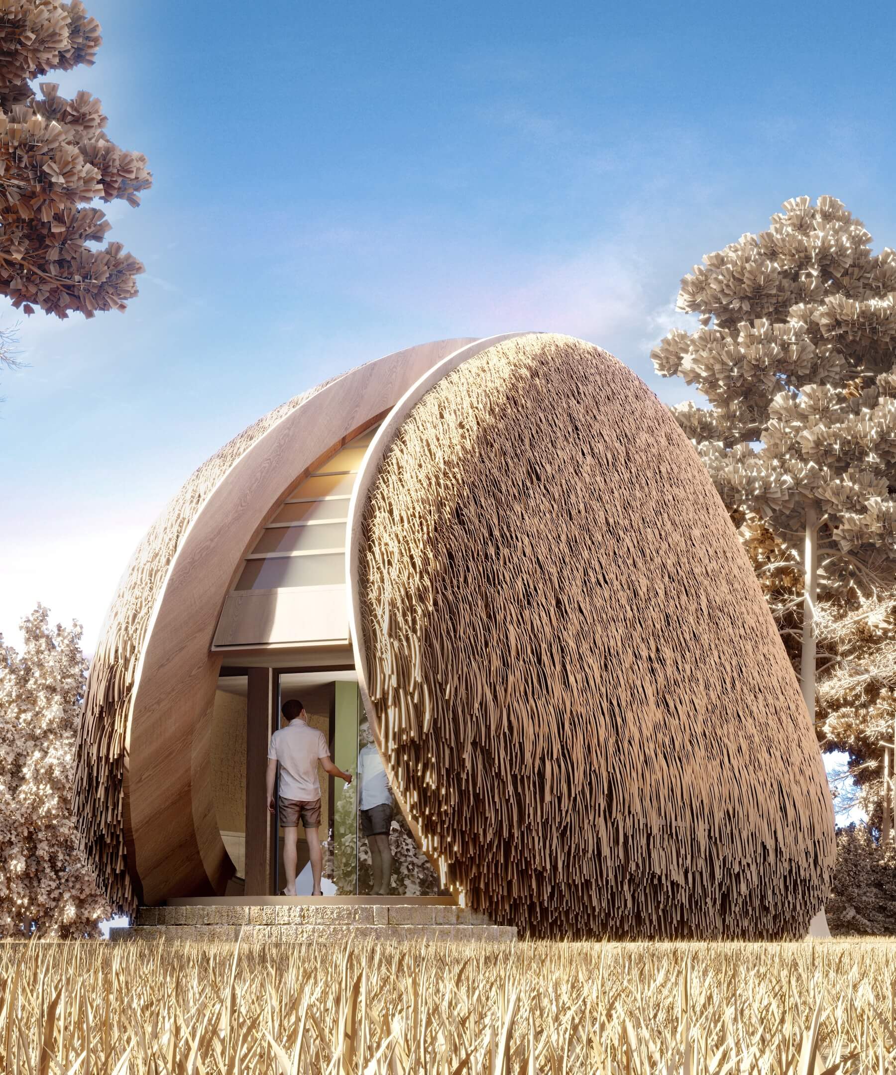 organic home in nature 