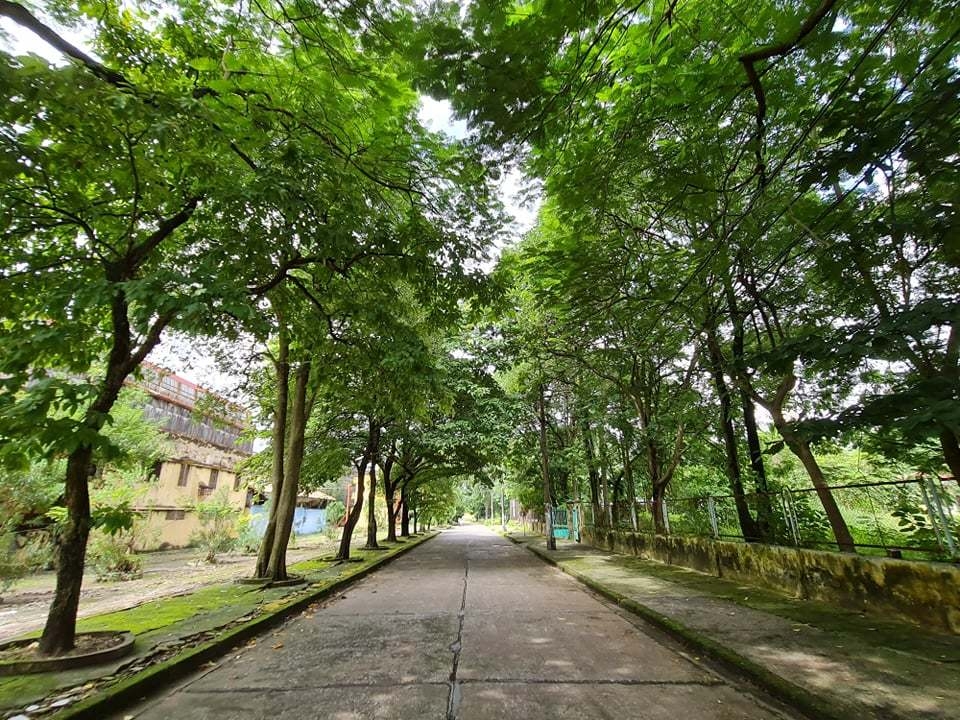 ben trong khu dat vang duong sat o ha noi bi de nghi cuong che thue