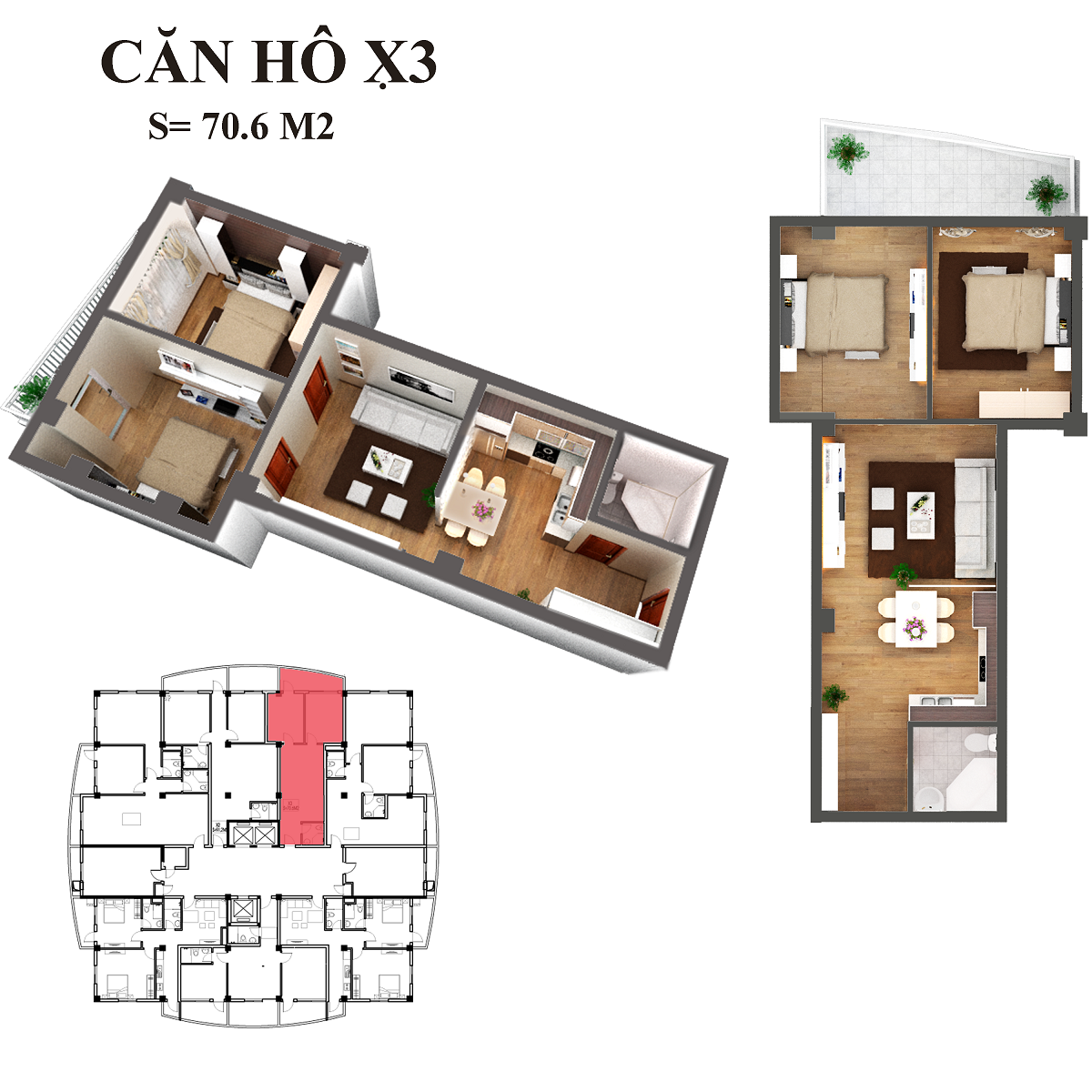 can-x3