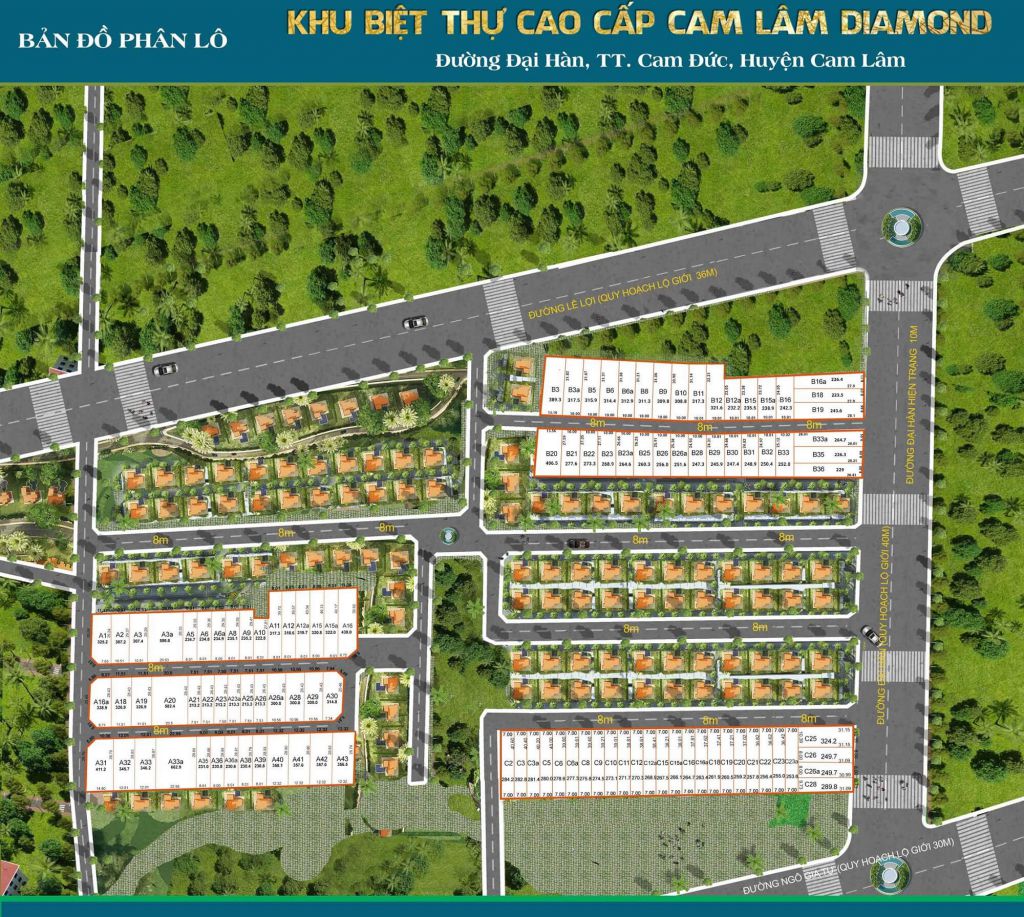 mặt bằng dự án cam lâm diamond