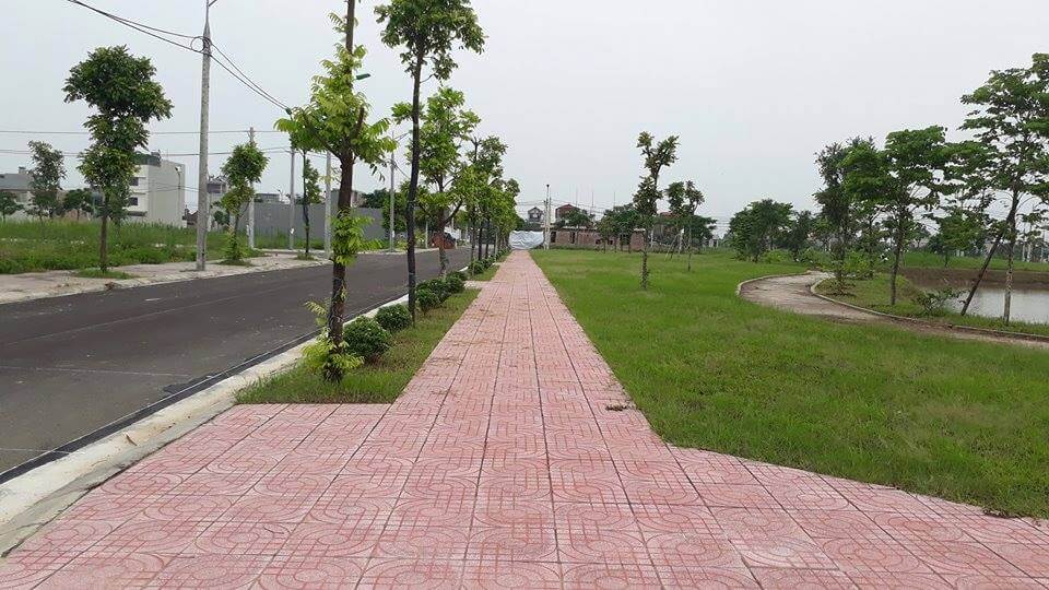hình ảnh thực tế dự án