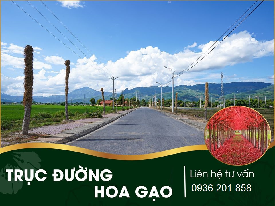 đất nền hoa anh đào chao hạ nghĩa lộ