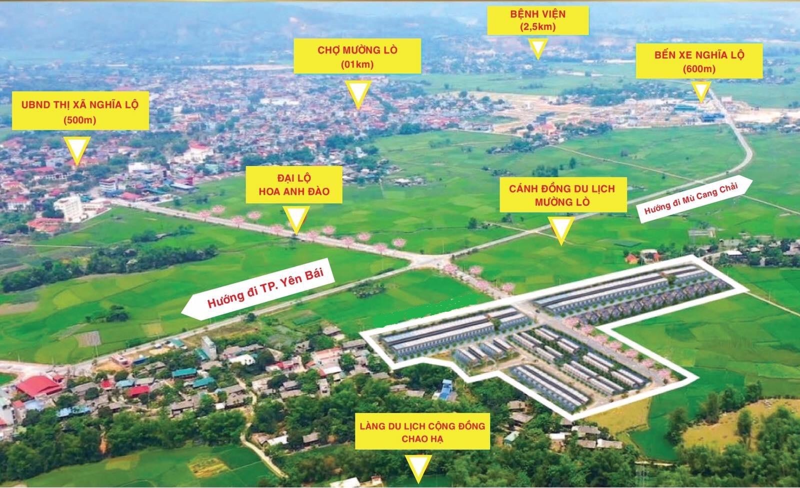 đất nền hoa anh đào nghĩa lộ