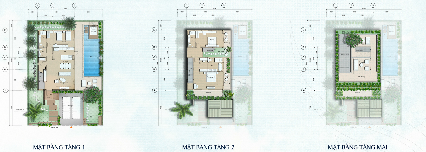 thiết kế biệt thự dọc
