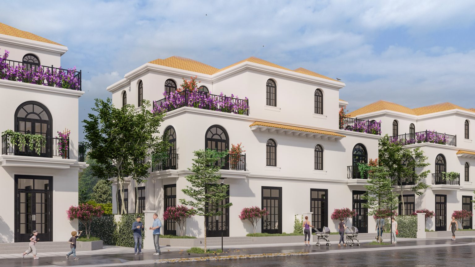shopvillas trà cổ