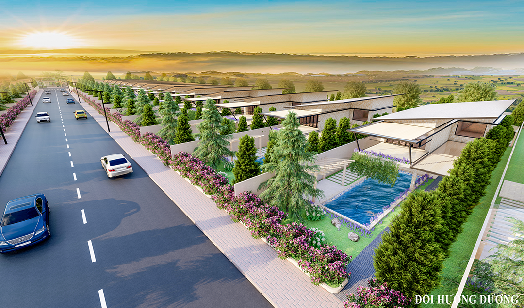 sunflower hill bảo lộc - đồi hoa hướng dương