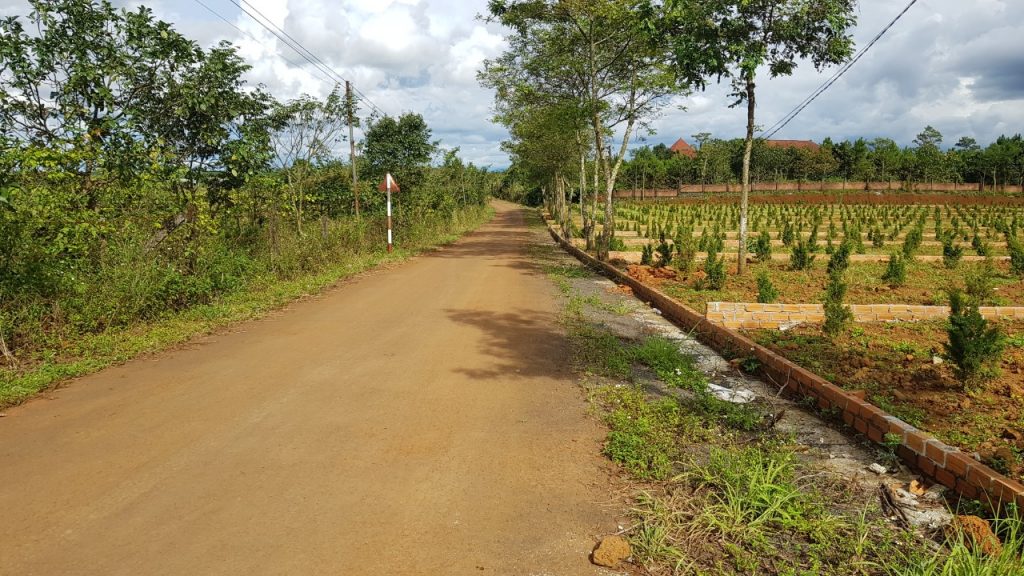 tiến độ dự án đồi hướng dương