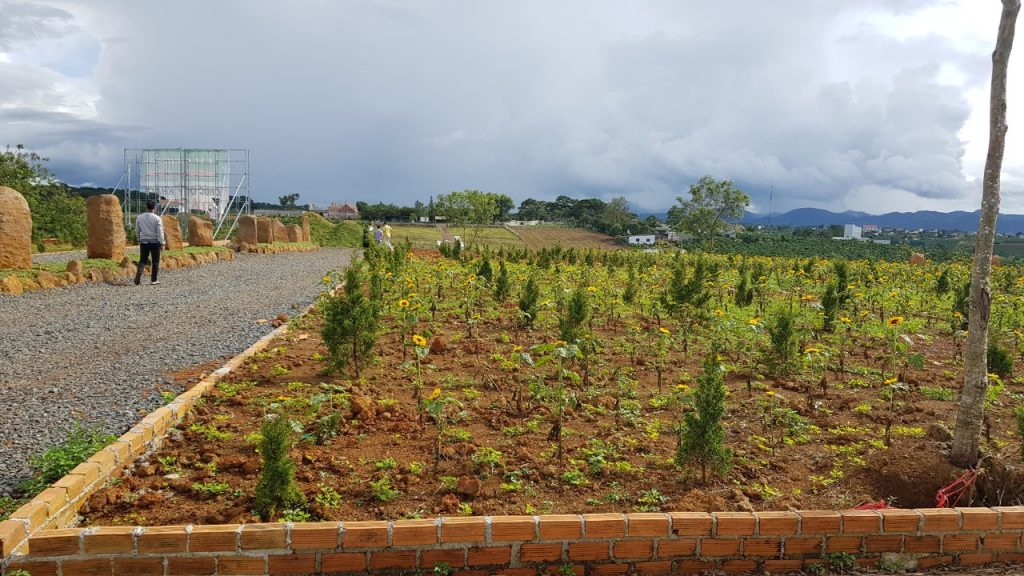 tiến độ dự án sunflower hill đồi hoa hướng dương