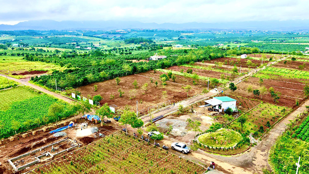 tiến độ dự án sunflower hill đồi hoa hướng dương
