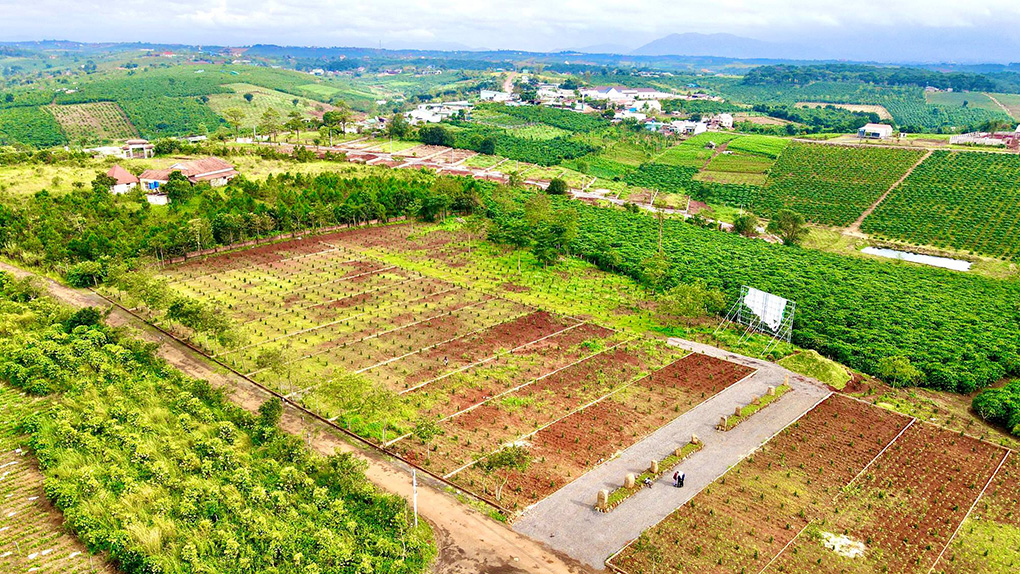 tiến độ dự án sunflower hill đồi hoa hướng dương
