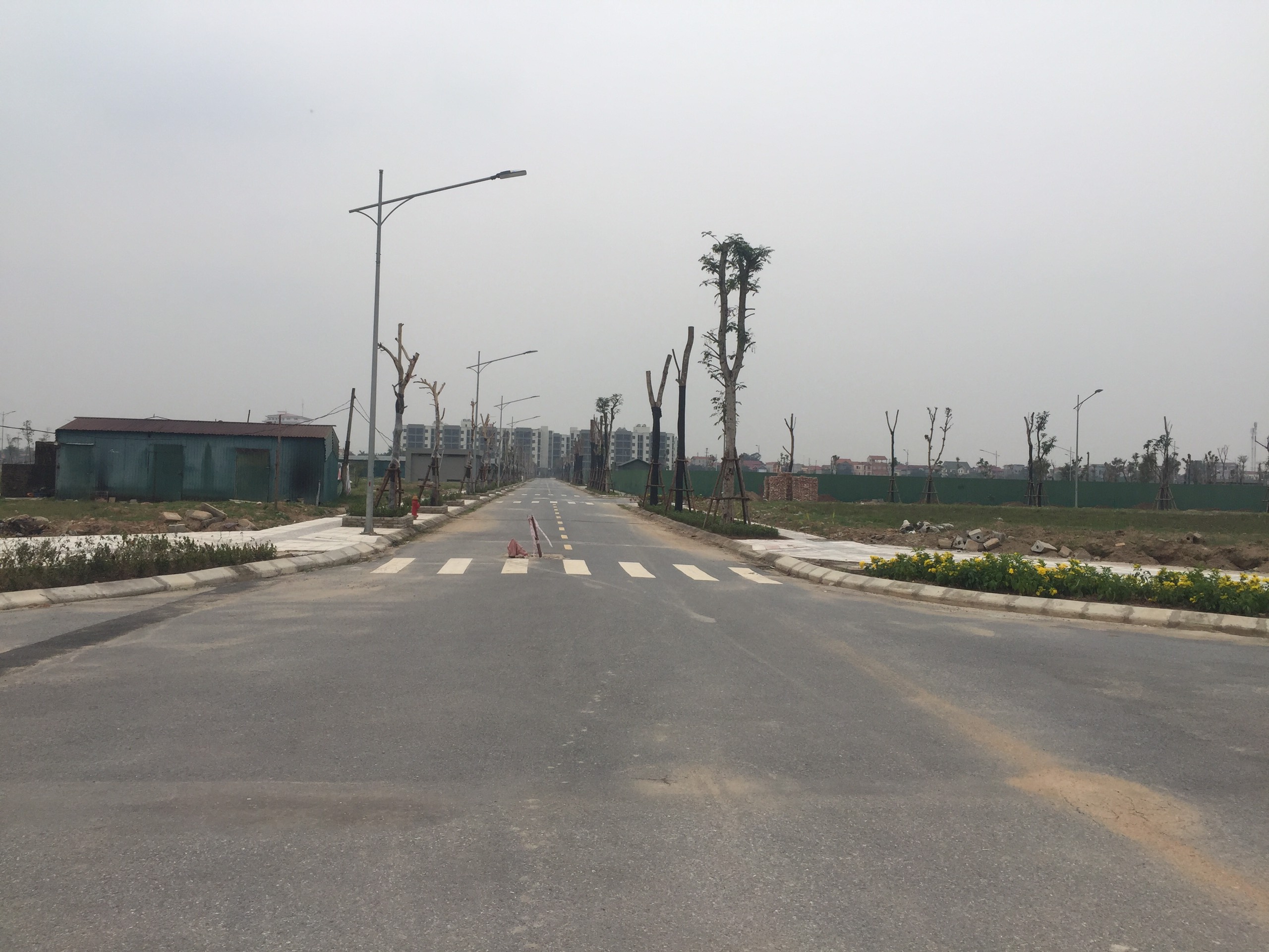 tiến độ dự án