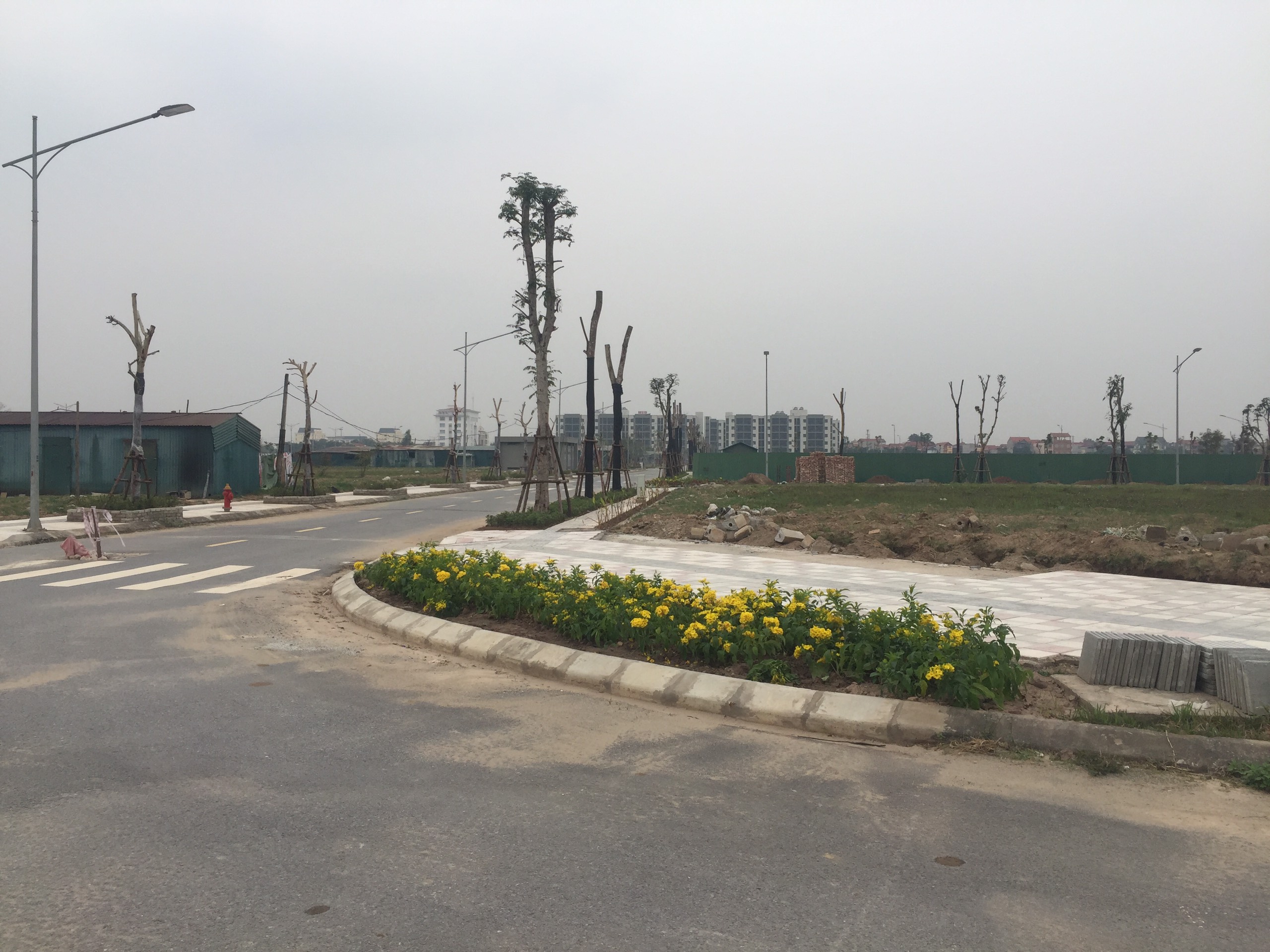tiến độ dự án