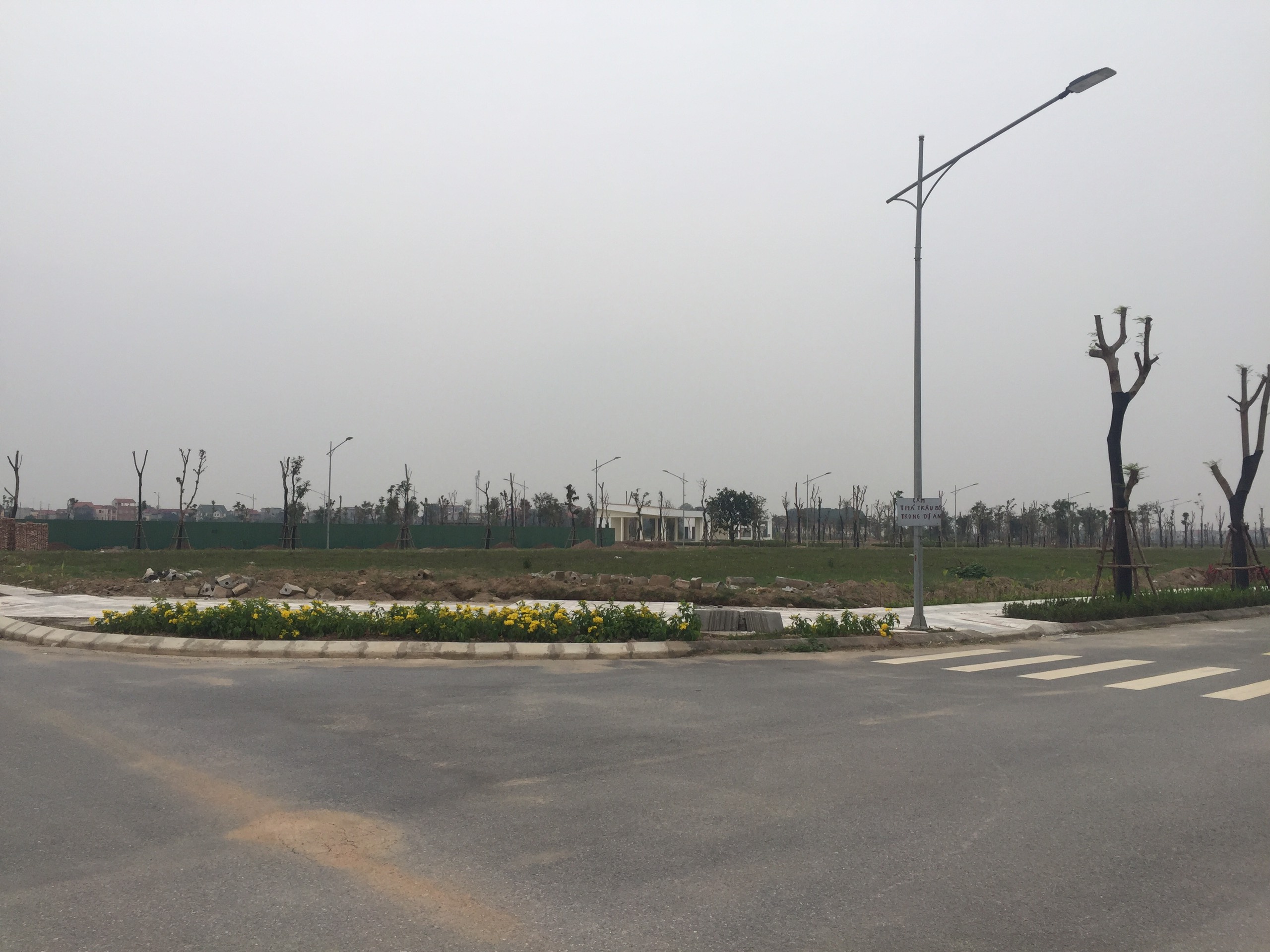 tiến độ dự án