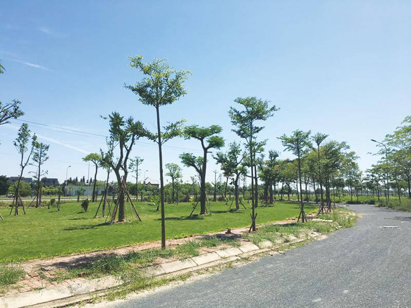 hình ảnh thực tế dự án