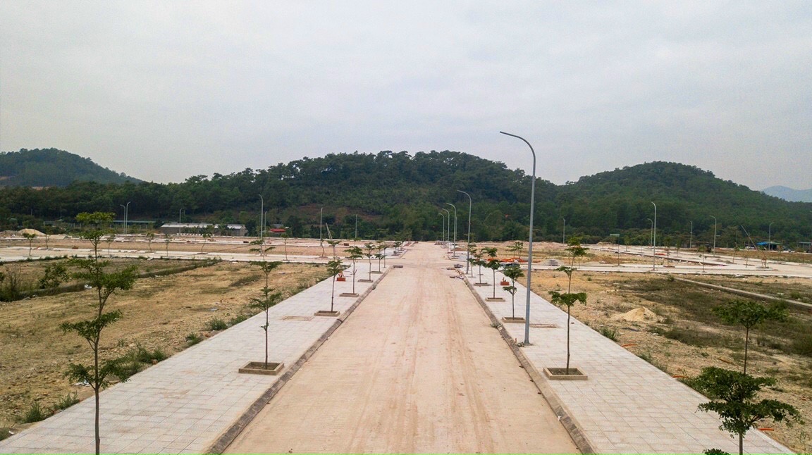 tiến độ dự án