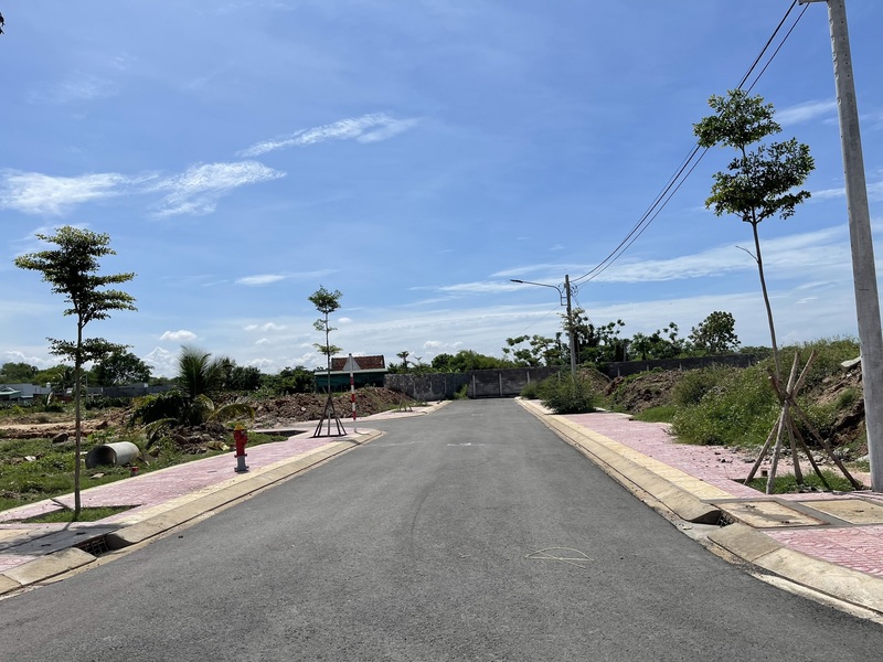 tiến độ dự án