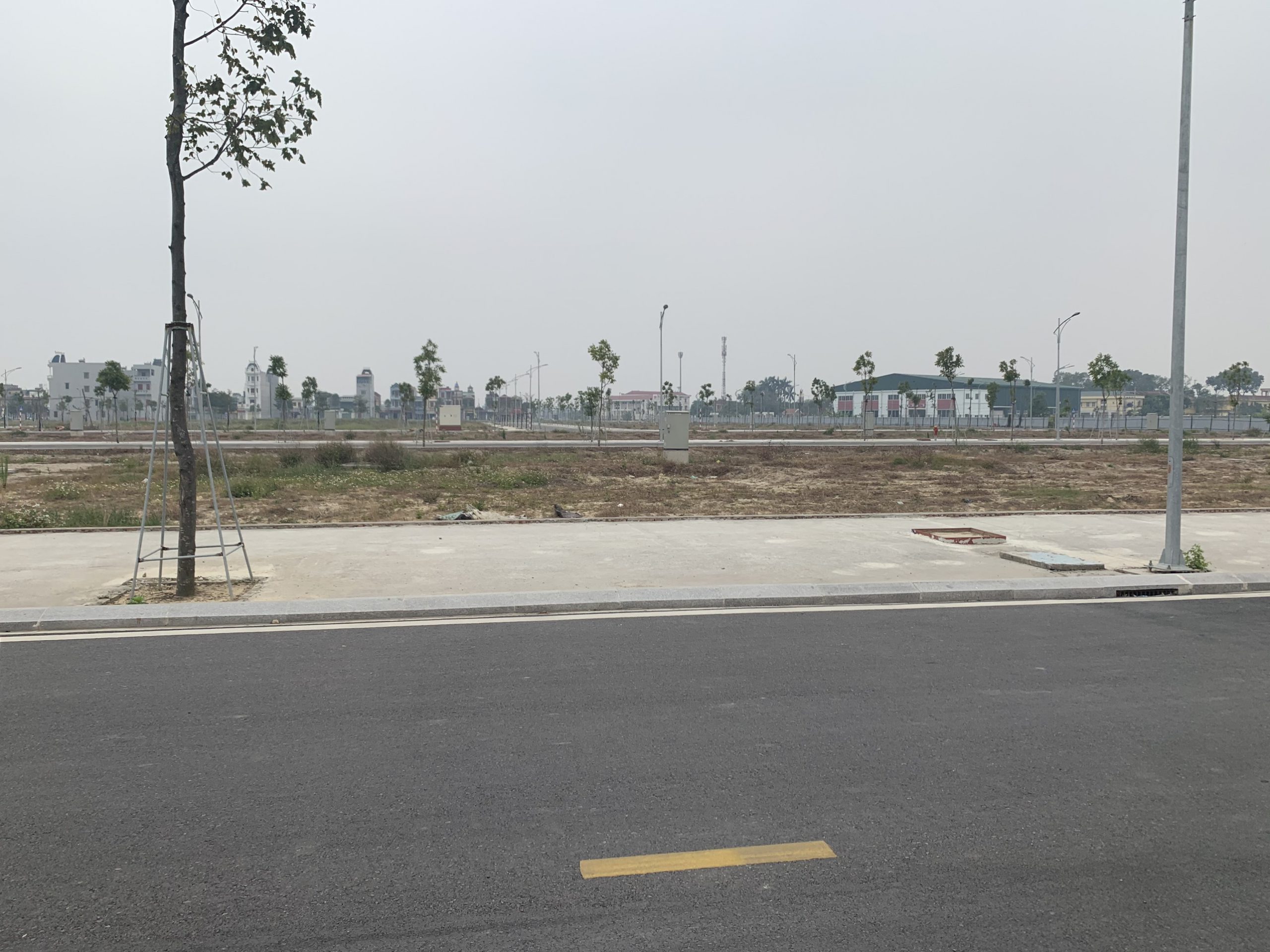 tiến độ dự án