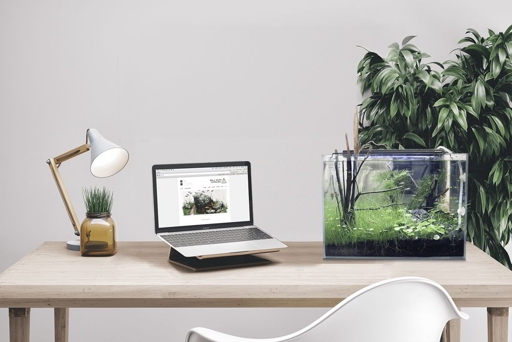 Bàn làm việc bằng gỗ đơn giản, bể cá mini, chậu cây
