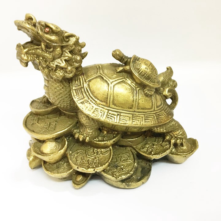 Long Quy (Rùa đầu rồng)
