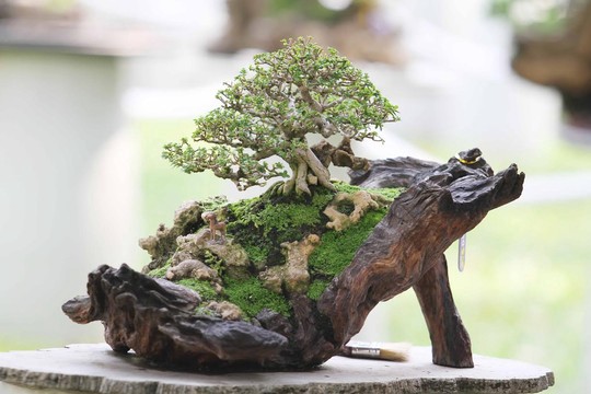 Hòn non bộ mini