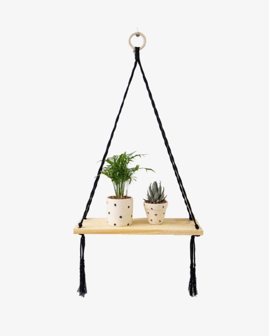 Cây cau tiểu trâm mini đặt ở trên giá gỗ treo tường để trang trí cho không gian nhà ở.