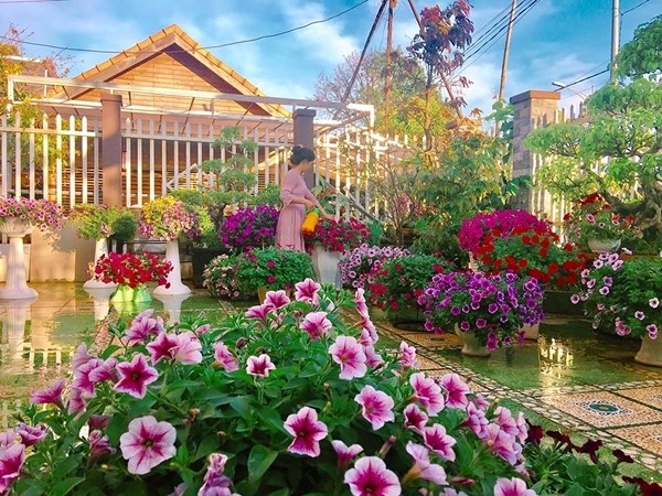 Bố trí hoa triệu chuông hợp phong thủy