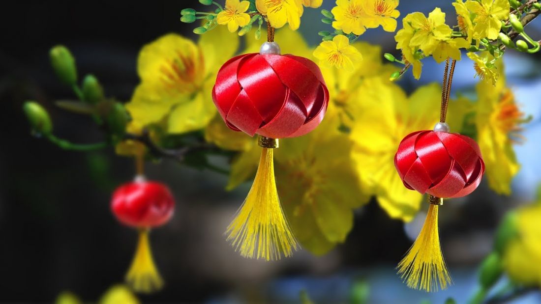 Trang trí cây mai ngày tết bằng đèn lồng