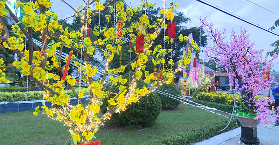 Trang trí cây mai ngày tết bằng đèn led