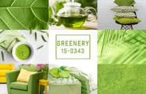 Xanh greenery, xu hướng thiết kế nội thất 2018