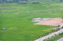 Hà Nội dừng cấp đất xây nhà ở cho cán bộ, công chức 