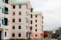 Dân chung cư hoảng loạn vì ruồi 