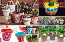 Khu vườn ấn tượng với chậu cây độc đáo