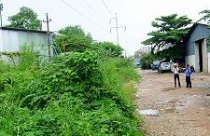 Đất tái định cư thành... đất hoang 