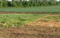 Bất hợp lý trong kế hoạch sử dụng đất 