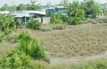 Làm đúng quy định tách thửa, khó quá! - Bài 2: Mục đích tốt nhưng thực tế gây khó 