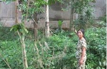 Cấp giấy chứng nhận quyền sử dụng đất ở Hoài Ân (Bình Định) Bài 2: Cần khôi phục quyền lợi chính đáng của dân